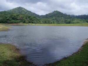 A view of Periyar Lake and Wildlife Reserve – Image: Lyndsey Biddle