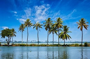 Kerala Backwaters